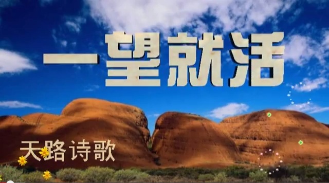 一望就活