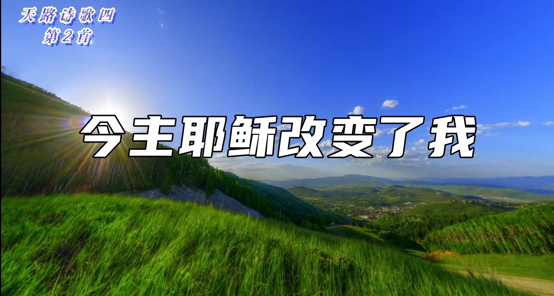 一望就活