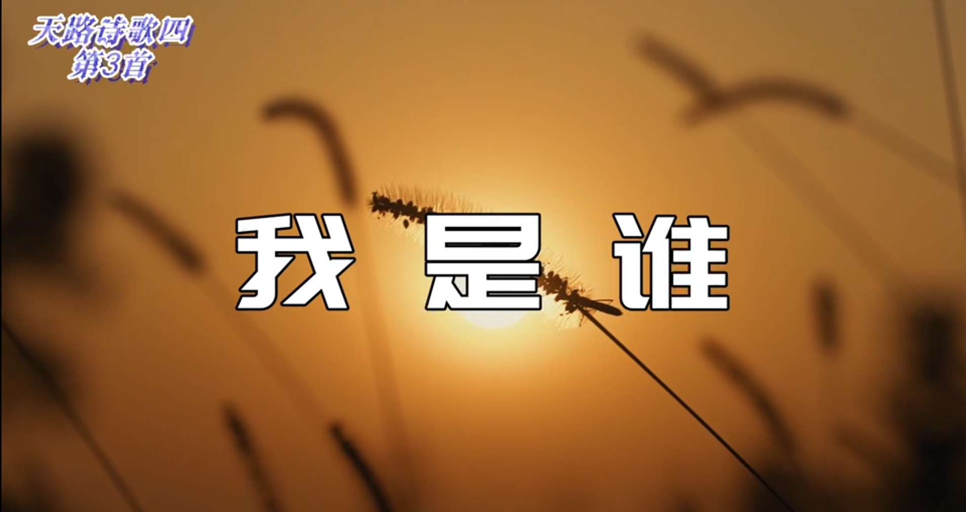 荣耀的复活